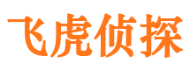 浉河市侦探调查公司